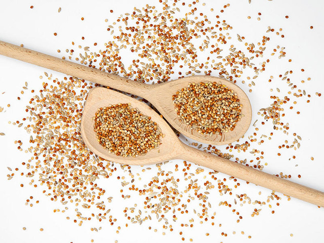 Yellow Millet